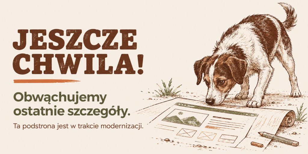 strona w trakcie modernizacji