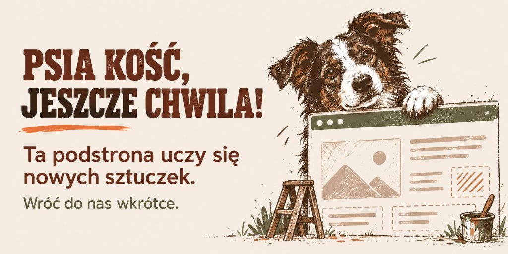 strona w trakcie modernizacji